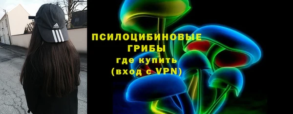 гидра Коряжма