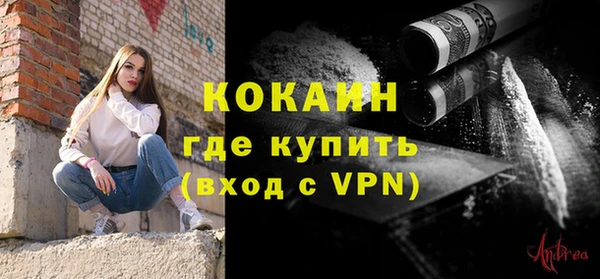 гидра Коряжма