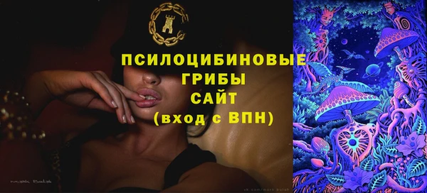 гидра Коряжма