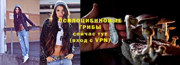 гидра Коряжма
