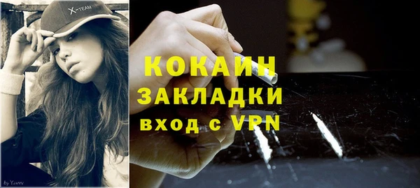 гидра Коряжма